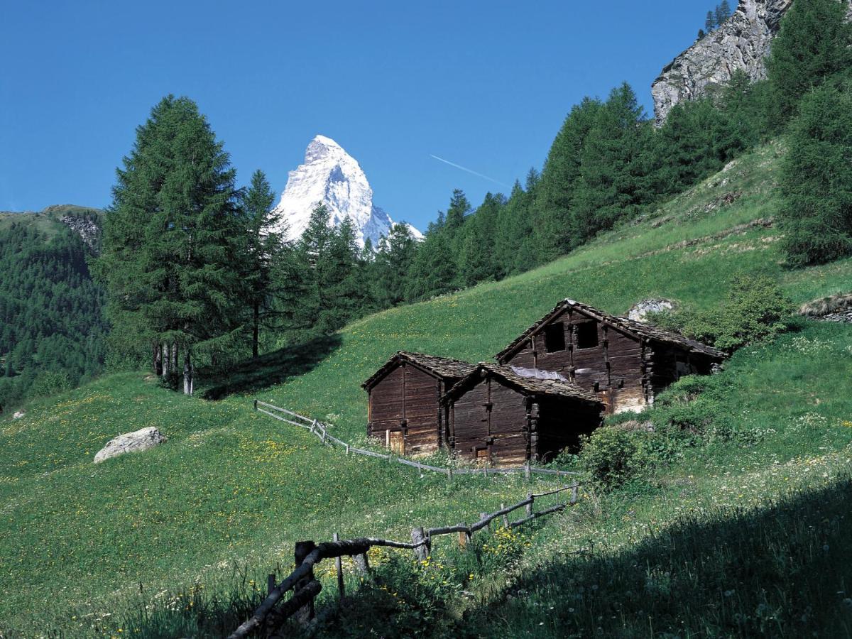 Apartment Bodmen A By Interhome Zermatt Esterno foto